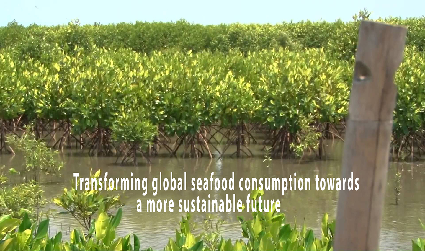 Transforming global seafood consumption towards a more sustainable future